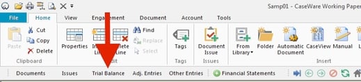 on the Navigation toolbar click on trial balance